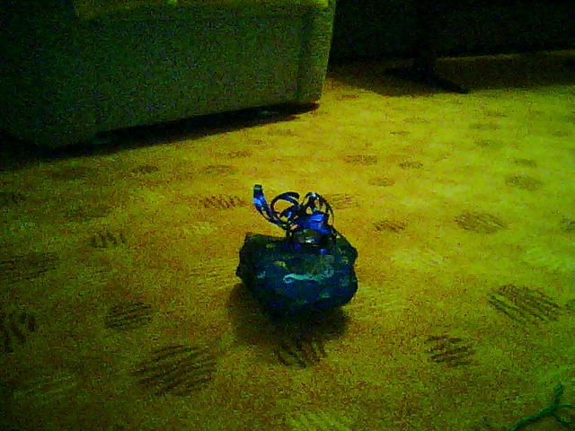 Picture0064.jpg